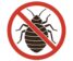 bedbugexterminator.online logo